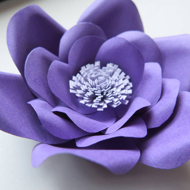 istock purple paper flower 1209947746