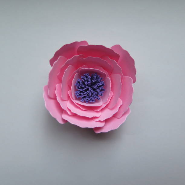 istock pink paper flower 1209947806