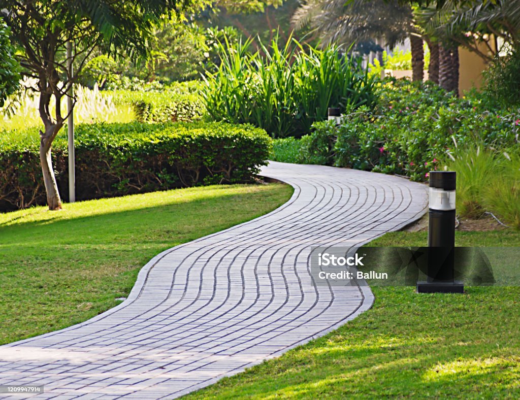 Path in the park Backgrounds Stock Photo