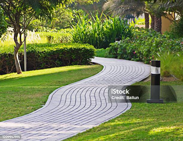 Path In The Park Stock Photo - Download Image Now - Backgrounds, Beauty, Branch - Plant Part