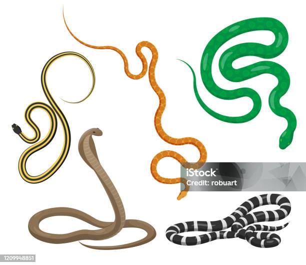 Slither Snakes Top View Vector Icons Set Stock Illustration - Download  Image Now - Snake, Black Color, Boa Constrictor - iStock