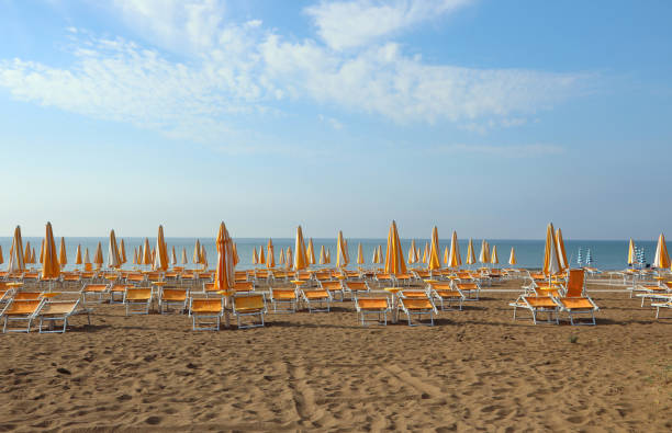 istock sunny with closed umbrellas and deck chairs and the blue sky in 1209953285