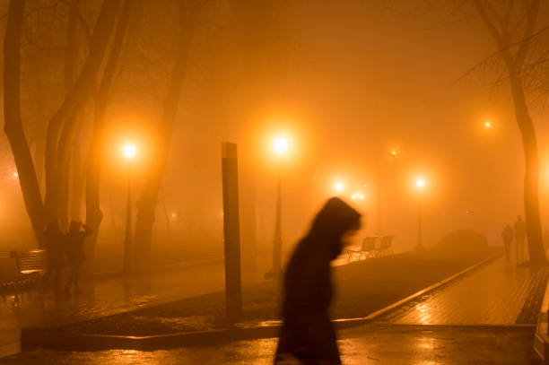 istock People park fog dark evening 1209953289