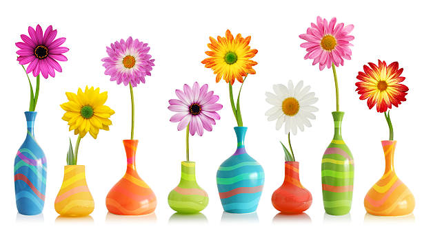daisy fiori in vasi - decoration fun in a row vibrant color foto e immagini stock