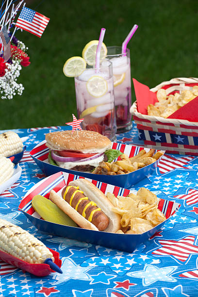 istock Picnic on 4th of July 120995500