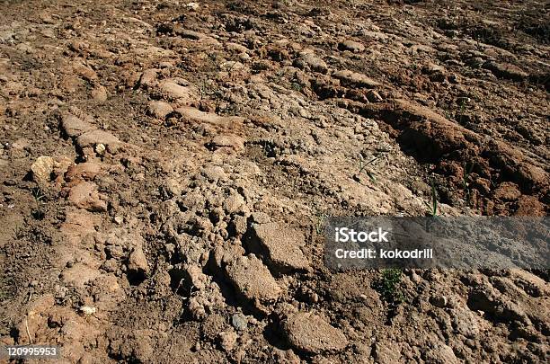 Dried Ground On Field Stock Photo - Download Image Now - Agricultural Field, Agriculture, Arid Climate