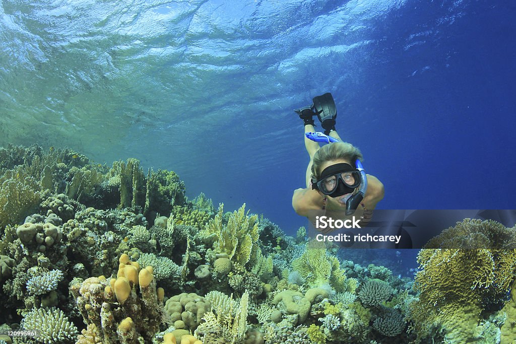 Mujer Snorkeler y Coral Reef - Foto de stock de Buceo con tubo libre de derechos
