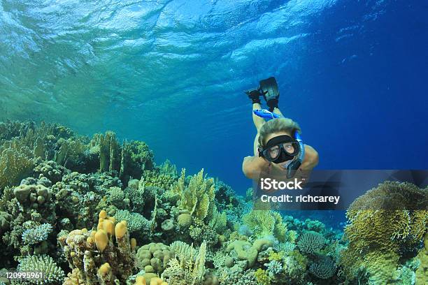 Donna Per Lo Snorkeling E La Barriera Corallina - Fotografie stock e altre immagini di Mar Rosso - Mar Rosso, Scuba Diving, Acqua