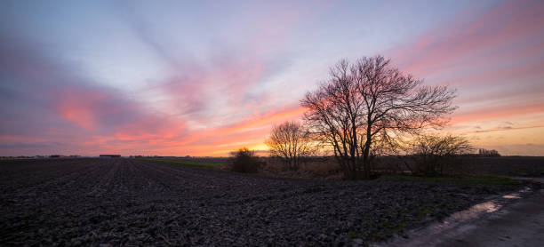 istock Stunning sunset over the plain in Holland with tree in the foreground 1209960419