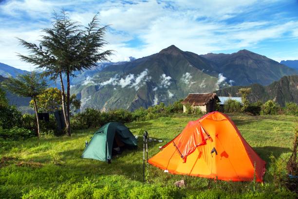 Rear view of a man with his pet dog on vacation sitting on wooden deck on the edge of mountain next to the tent in the evening and admiring the sunset and night starry sky