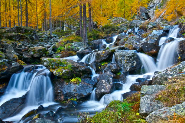 The colors of autumn