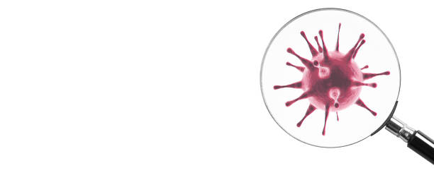 istock New coronavirus 2019-ncov. 3D illustration 1209962502