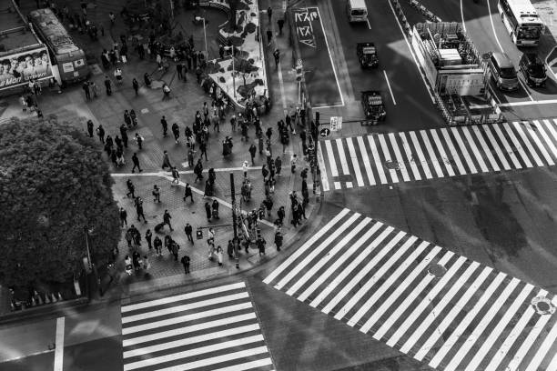 istock Shibuya Crossing XIV 1209962734