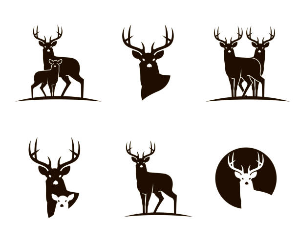 ilustraciones, imágenes clip art, dibujos animados e iconos de stock de emblemas de ciervos negros - deer portrait