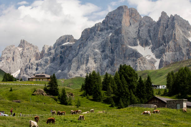istock Landscape of italian alps 1209964132