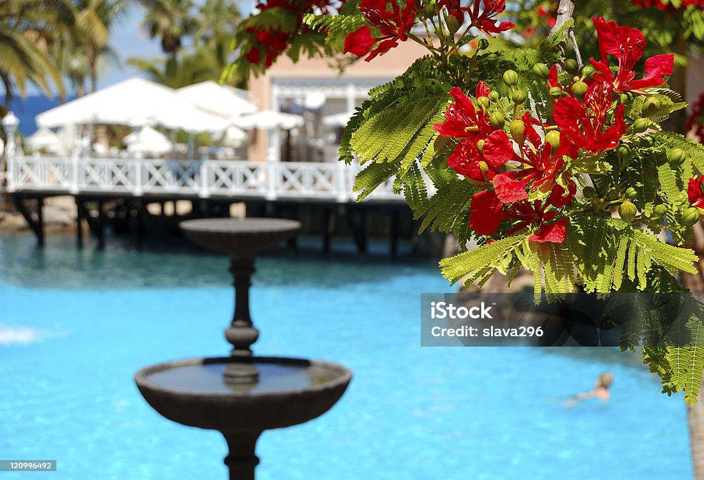 Blumen (Im Fokus) am Swimmingpool, open-air-restaurant - Lizenzfrei Hotel Stock-Foto