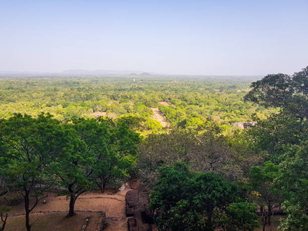 istock View on rainforest from Sigiriya Lion's Rock in Sri Lanka 1209968360