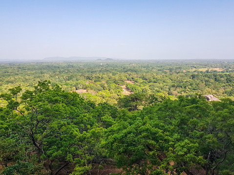 View on rainforest from Sigiriya Lion's Rock in Sri Lanka