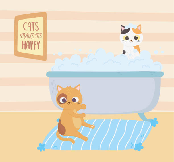istock cats make me happy, cat in carpet and kitten in bathtub washing 1209971530