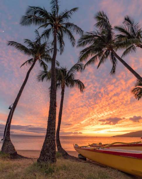 istock Hawaiian outrigger canoes at Sunset 1209972397