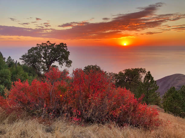 istock Big Sur, California USA. Coastline, sunset 1209972747