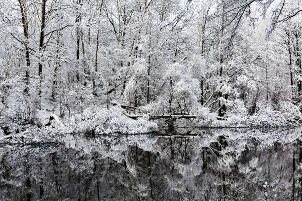 istock winter forest in the snow and river 1209976728