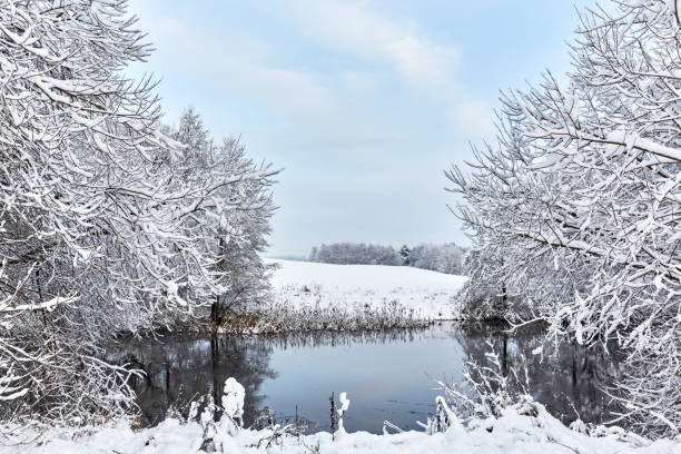 istock winter forest in the snow and river 1209976761