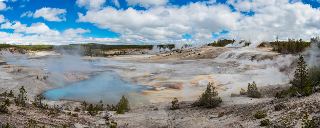 Porcelain Springs area of the Norris Geyser Basin in Yellowstone National Park. Panoramic view lof the Porcelain \nBasin.