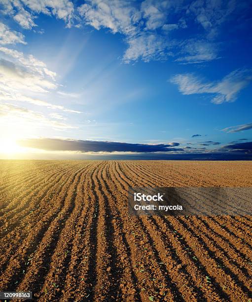 Dedicati Campo - Fotografie stock e altre immagini di Agricoltura - Agricoltura, Ambientazione esterna, Arare