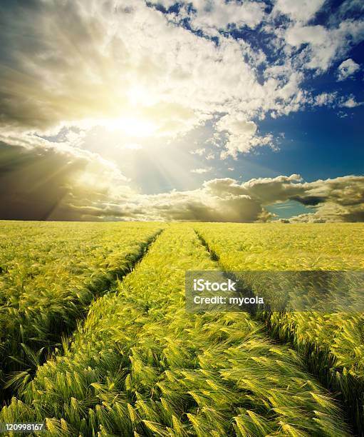 Feld Unter Sonnenuntergang Stockfoto und mehr Bilder von Abenddämmerung - Abenddämmerung, Blau, Farbbild