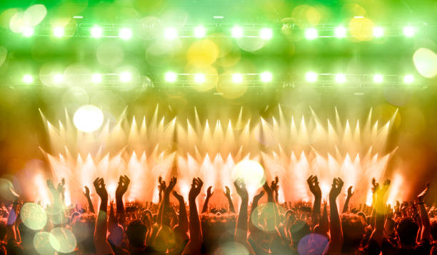istock Concert hall during a gig 1209982078