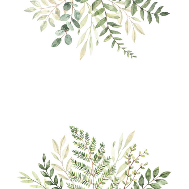 Hand drawn watercolor illustration. Botanical frame with eucalyptus, branches, fern and leaves. Greenery. Floral Design elements. Perfect for wedding invitations, cards, prints, posters, packing Hand drawn watercolor illustration. Botanical frame with eucalyptus, branches, fern and leaves. Greenery. Floral Design elements. Perfect for wedding invitations, cards, prints, posters, packing lush foliage stock illustrations