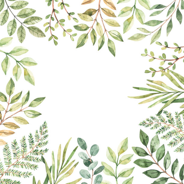 istock Hand drawn watercolor illustration. Botanical frame with eucalyptus, branches, fern and leaves. Greenery. Floral Design elements. Perfect for wedding invitations, cards, prints, posters, packing 1209984988