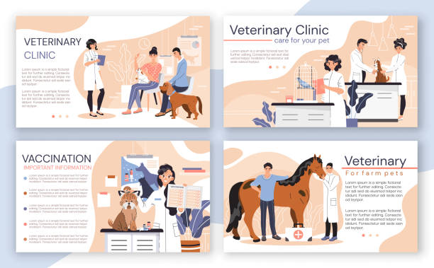 illustrations, cliparts, dessins animés et icônes de brochure vétérinaire de clinique, livret de centre vétérinaire, illustration de vecteur - dog pets advice women