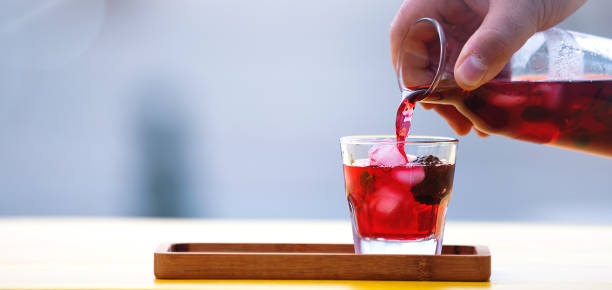 home made healthy ice tea with lemon and mint - cranberry juice imagens e fotografias de stock
