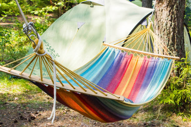 istock Camping outdoors - tents, equipment and cooking. 1209988469