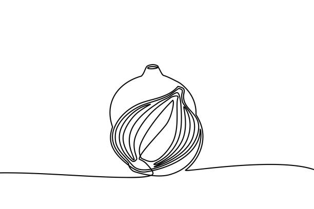 Continuous line drawing of Red onion. Black and white vector illustration. Continuous line drawing of Red onion. Black and white vector illustration. knitting textile wool infinity stock illustrations