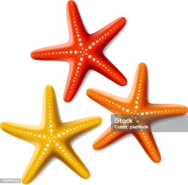 Starfishes Stock Illustration - Download Image Now - Starfish, Orange Color, Vector