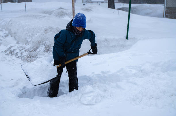 istock Young boy shoveling snow 1209993628