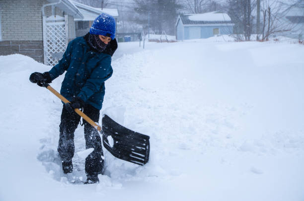 istock Young boy shoveling snow 1209994138