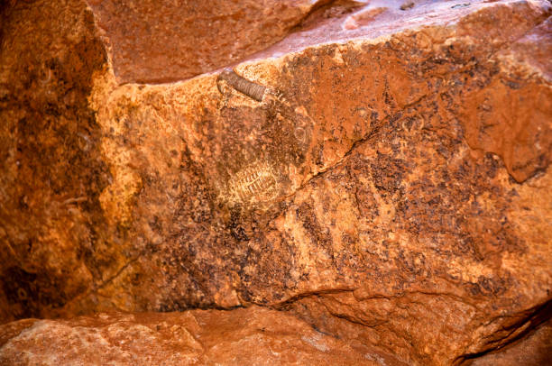Trilobite fossils in a Redwall limestone boulder in Redwall Cavern in the Grand Canyon on the Colorado River in Arizona.
