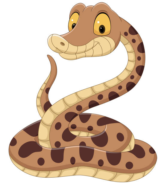 ilustrações de stock, clip art, desenhos animados e ícones de cartoon snake on white background - snake cobra cartoon rattlesnake