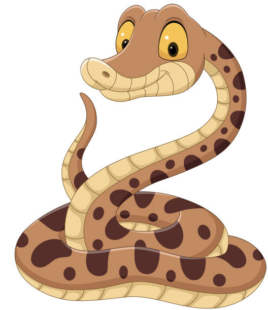 Cartoon Snake On White Background Stock Illustration - Download Image Now -  Snake, Cartoon, Cheerful - iStock
