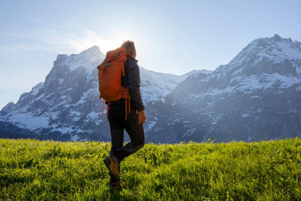 istock Male hiker ascends meadow slope, in mountains 1209996582
