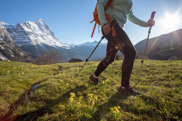 산에서 초원 경사면을 가로지르는 여성 등산객 - eiger 뉴스 사진 이미지