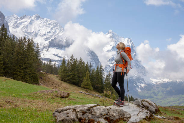 istock Female hiker ascends snowslope, in mountains 1209997415