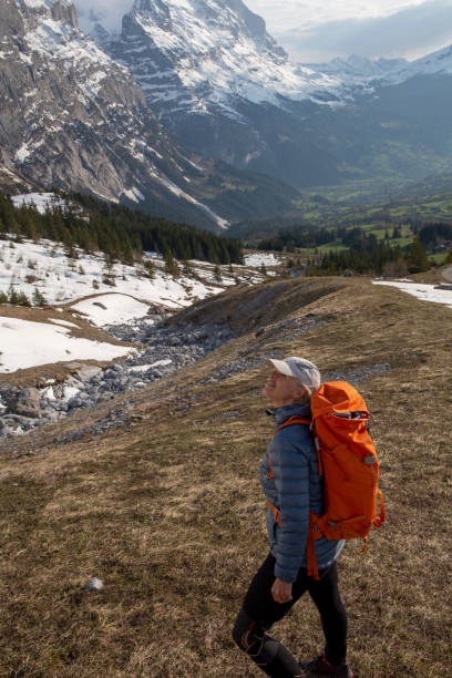 istock Female hiker ascends meadow slope, in mountains 1209997432