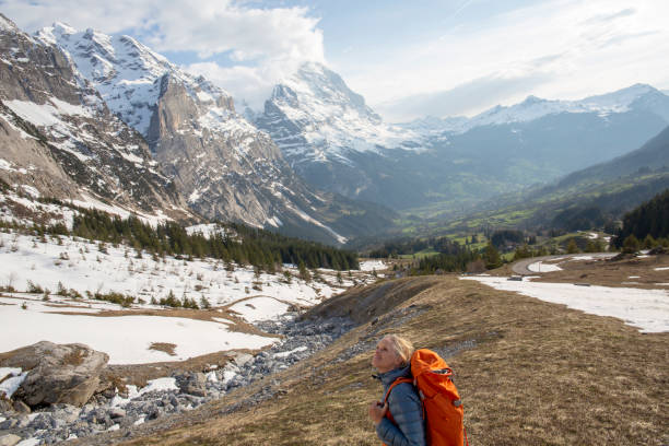 istock Female hiker ascends meadow slope, in mountains 1209997434
