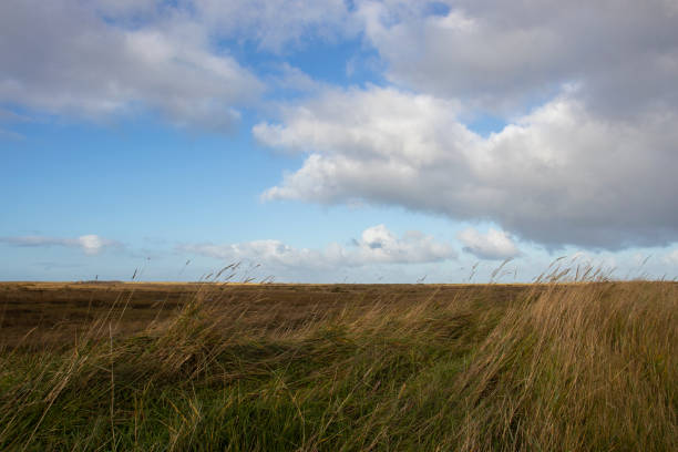 istock Norfolk, UK bird sanctuary photos 1209998592