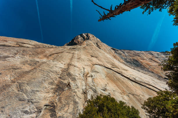 Below El Capitan in Yosemite National Park California